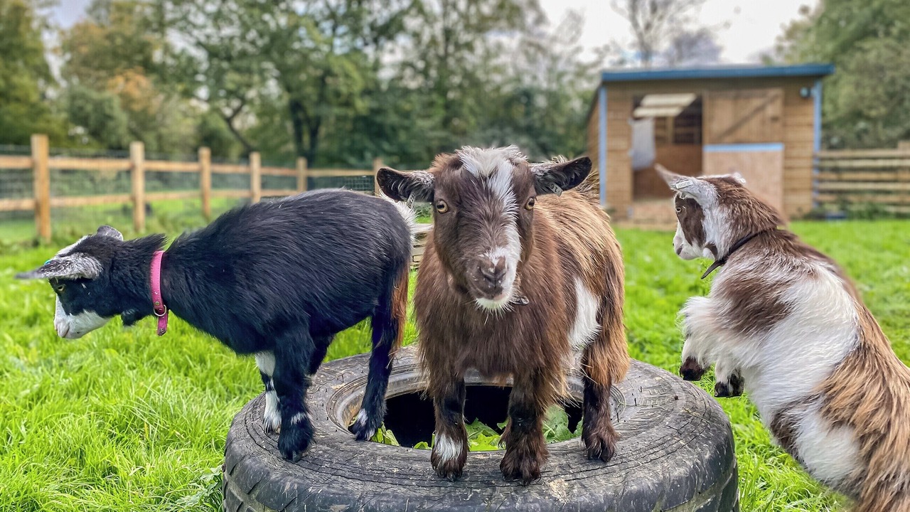 Photo of Others in Seend