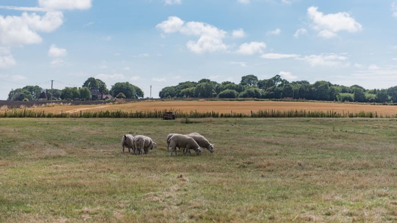 Photo of Others in Lynsted