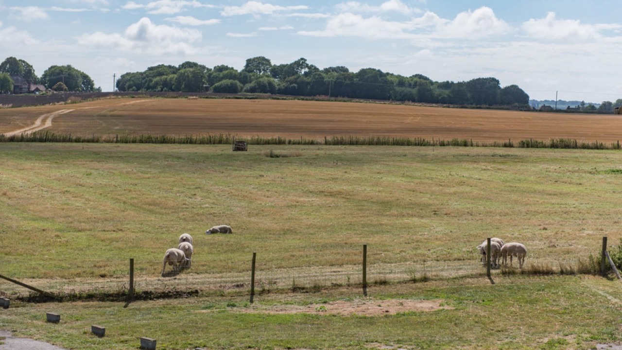 Photo of Others in Lynsted