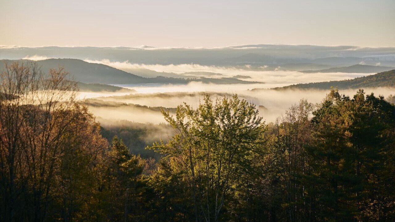 Photo of Others in Cambridge