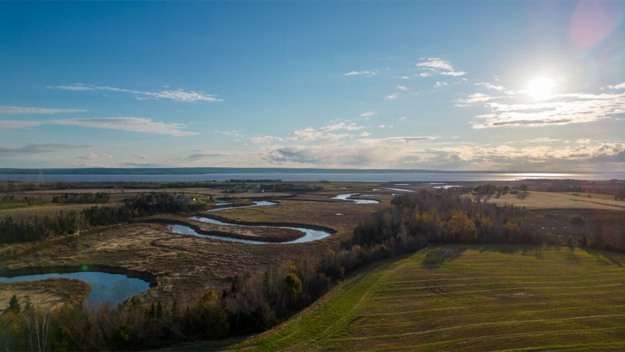 Photo of Others in Masstown