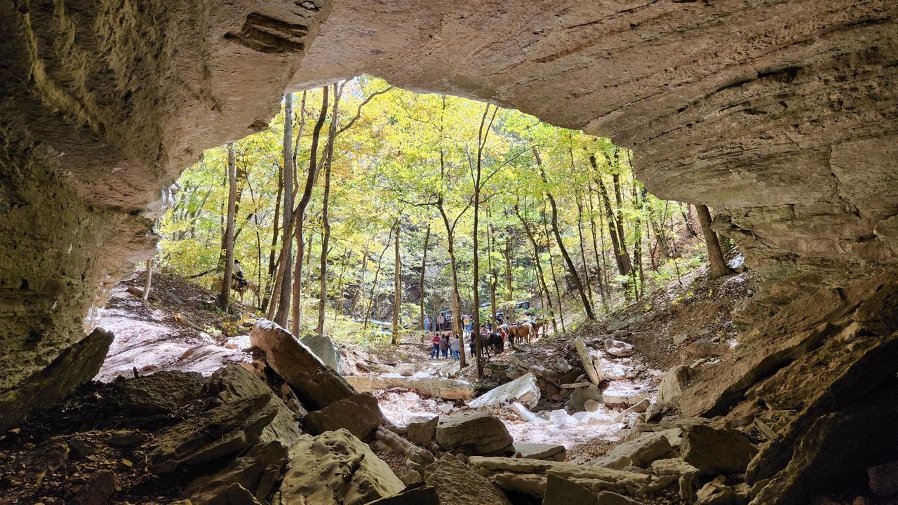 Photo of Others in Shell Knob