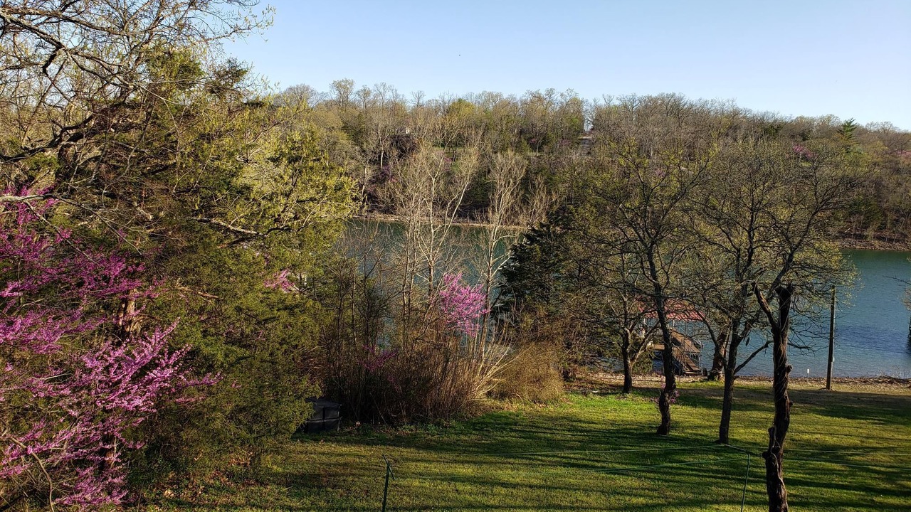 Photo of Outdoor in Shell Knob