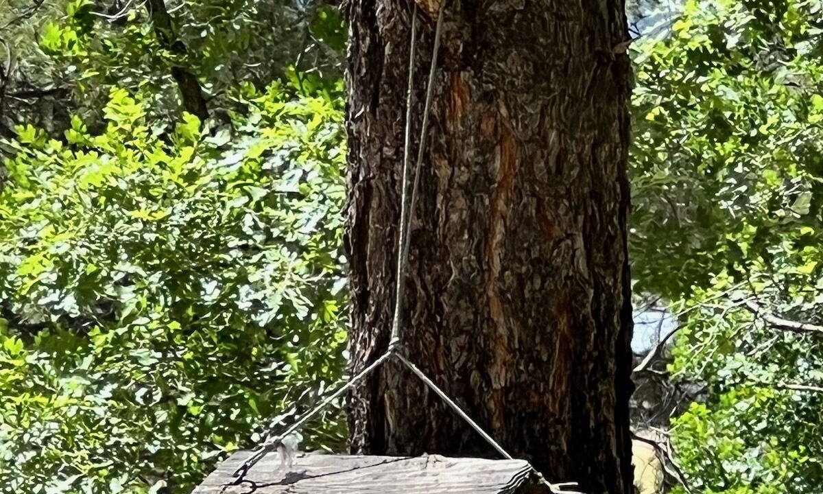 Photo of Outdoor in Alpine