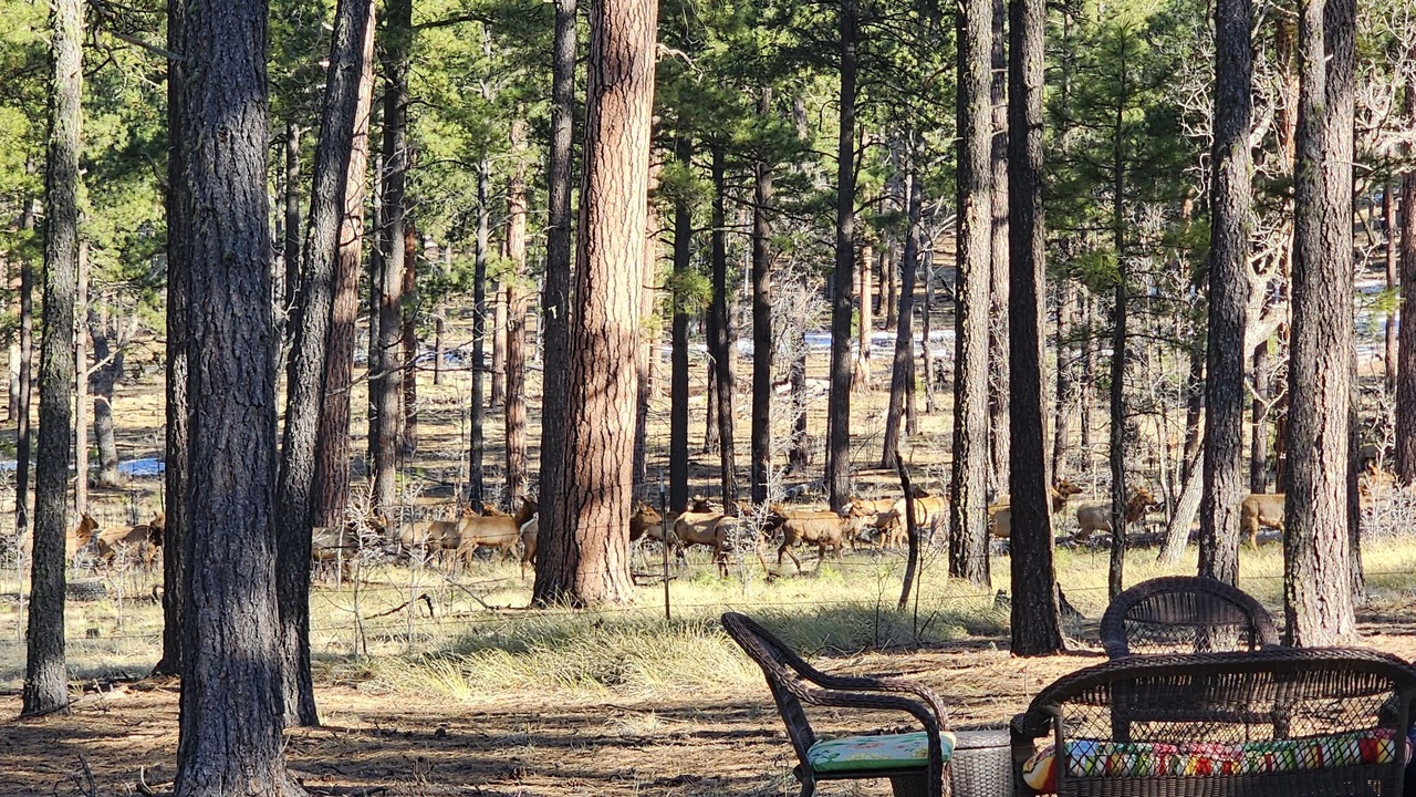 Photo of Outdoor in Alpine