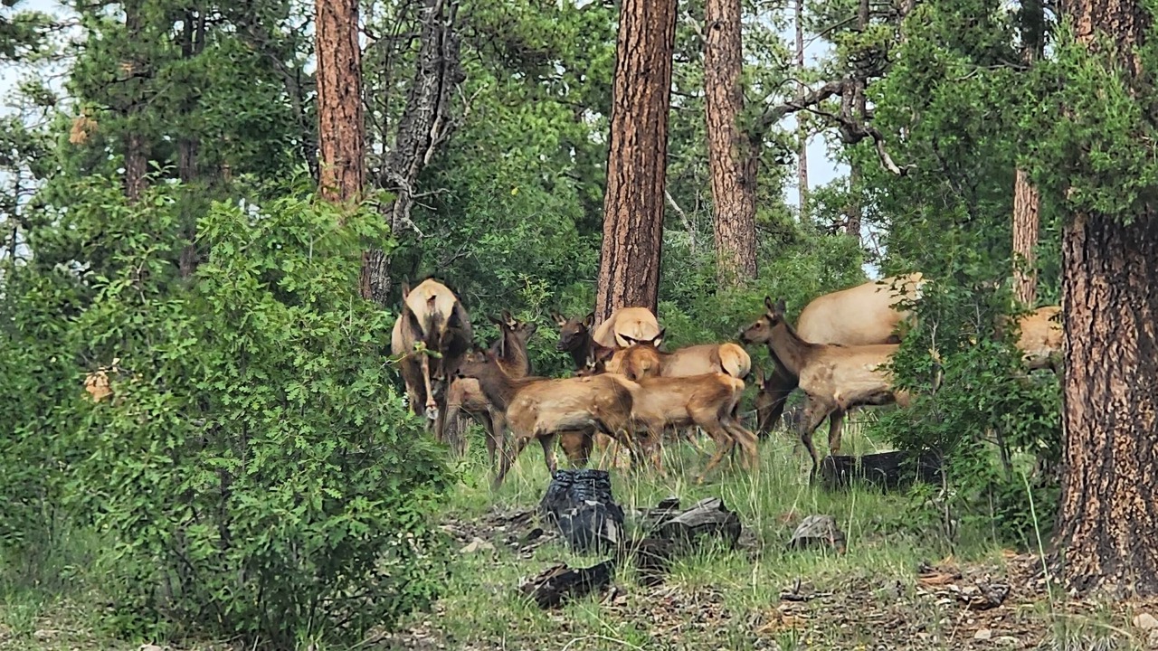 Photo of Outdoor in Alpine