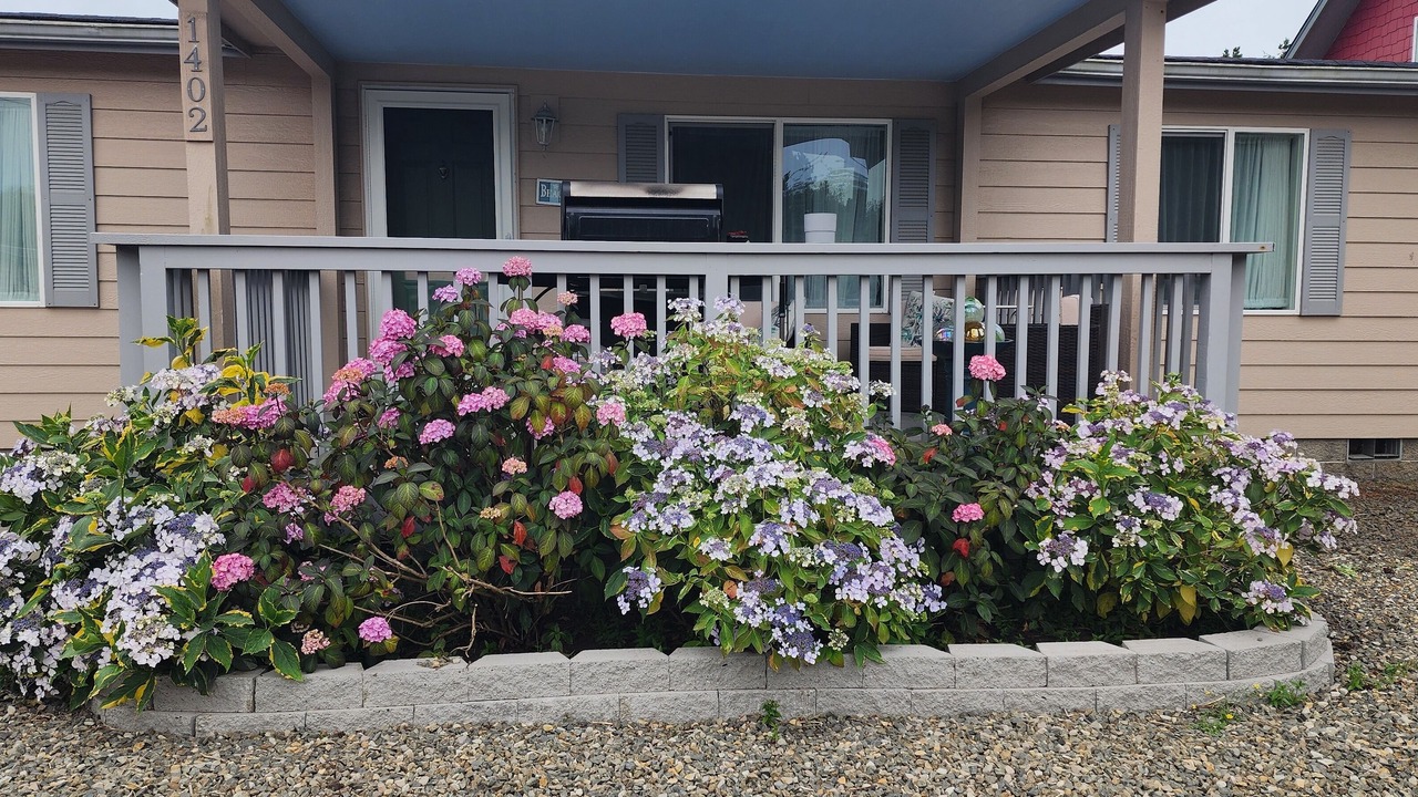 Photo of Patio Balcony in Long Beach