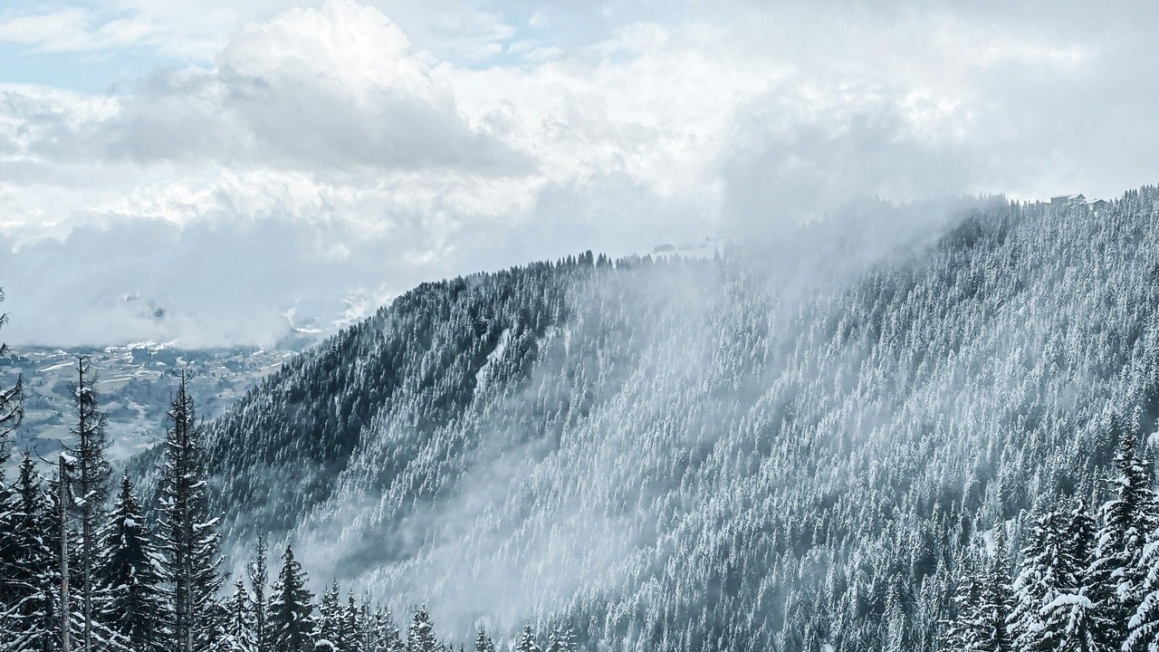 Photo of Others in Morillon