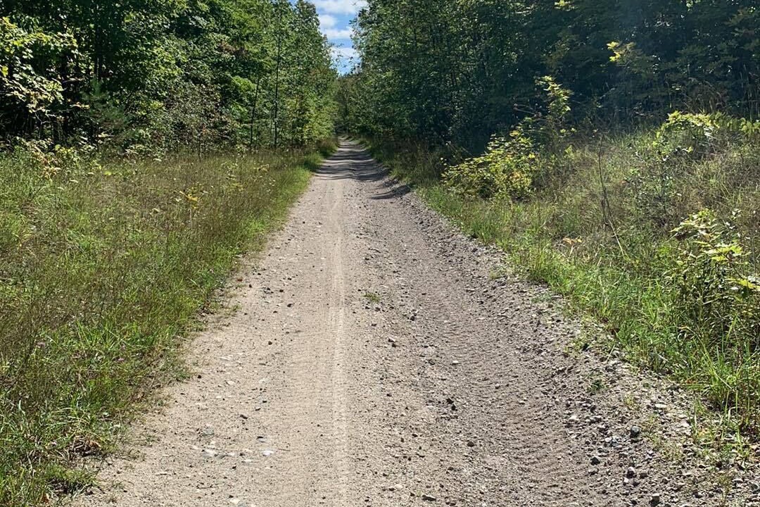 Photo of Outdoor in Chatsworth