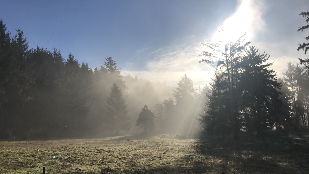 Photo of Outdoor in Smith River