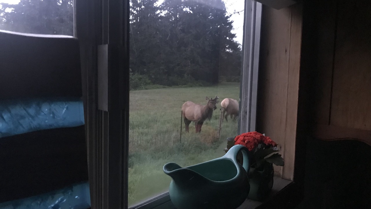 Photo of Others in Smith River