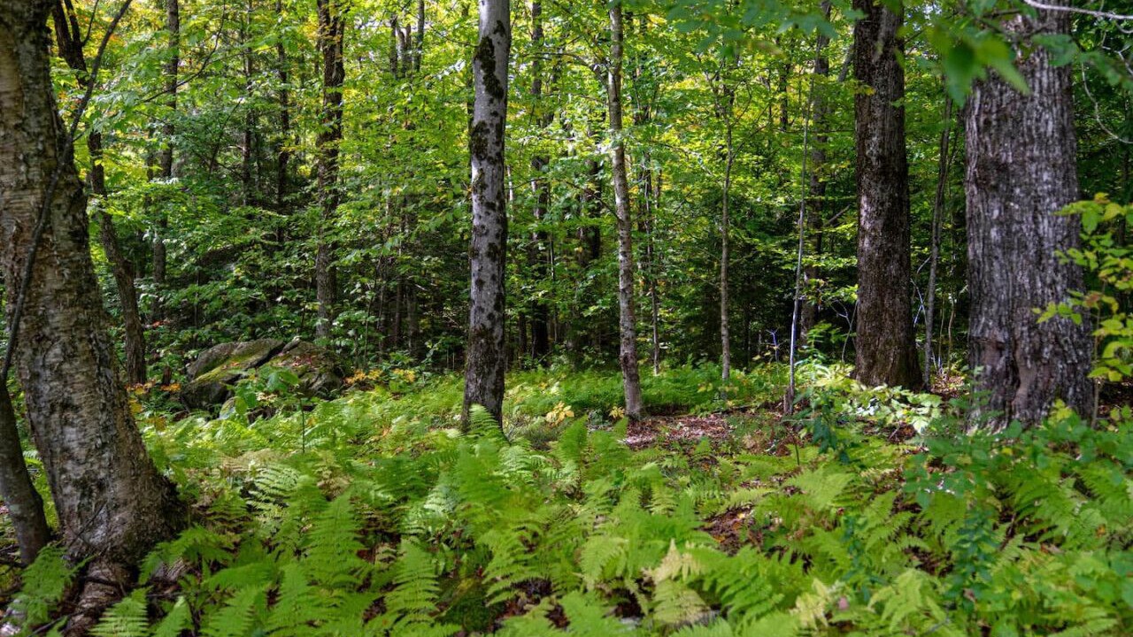 Photo of Others in Stratton