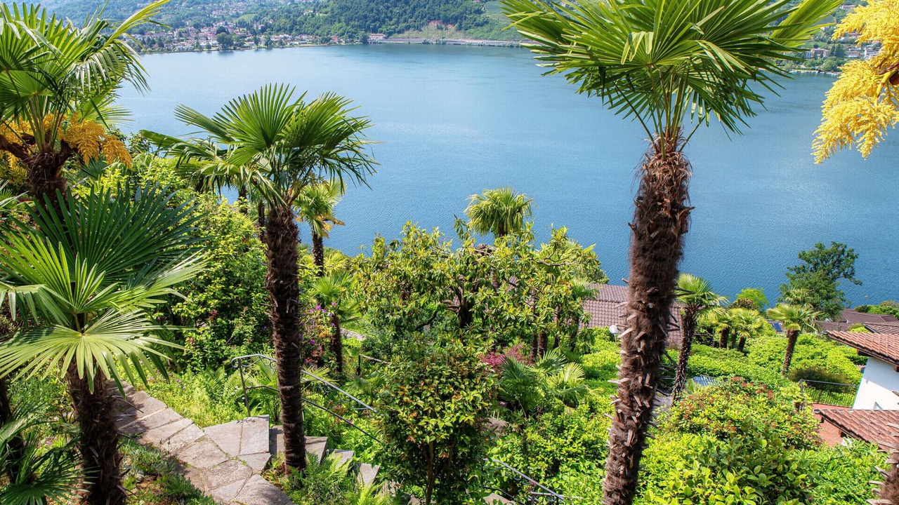 Photo of Outdoor in Montagnola