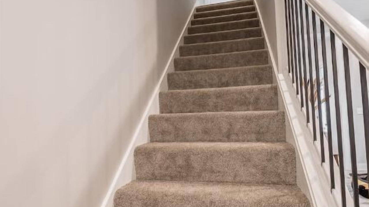 Photo of Others in Troy