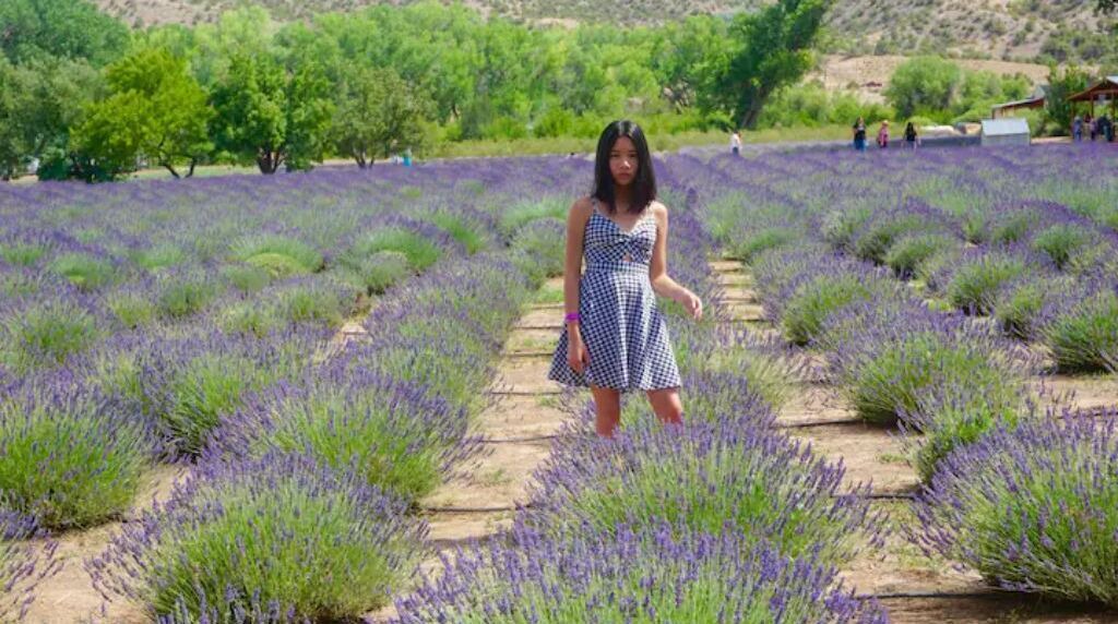 Photo of Outdoor in Abiquiu