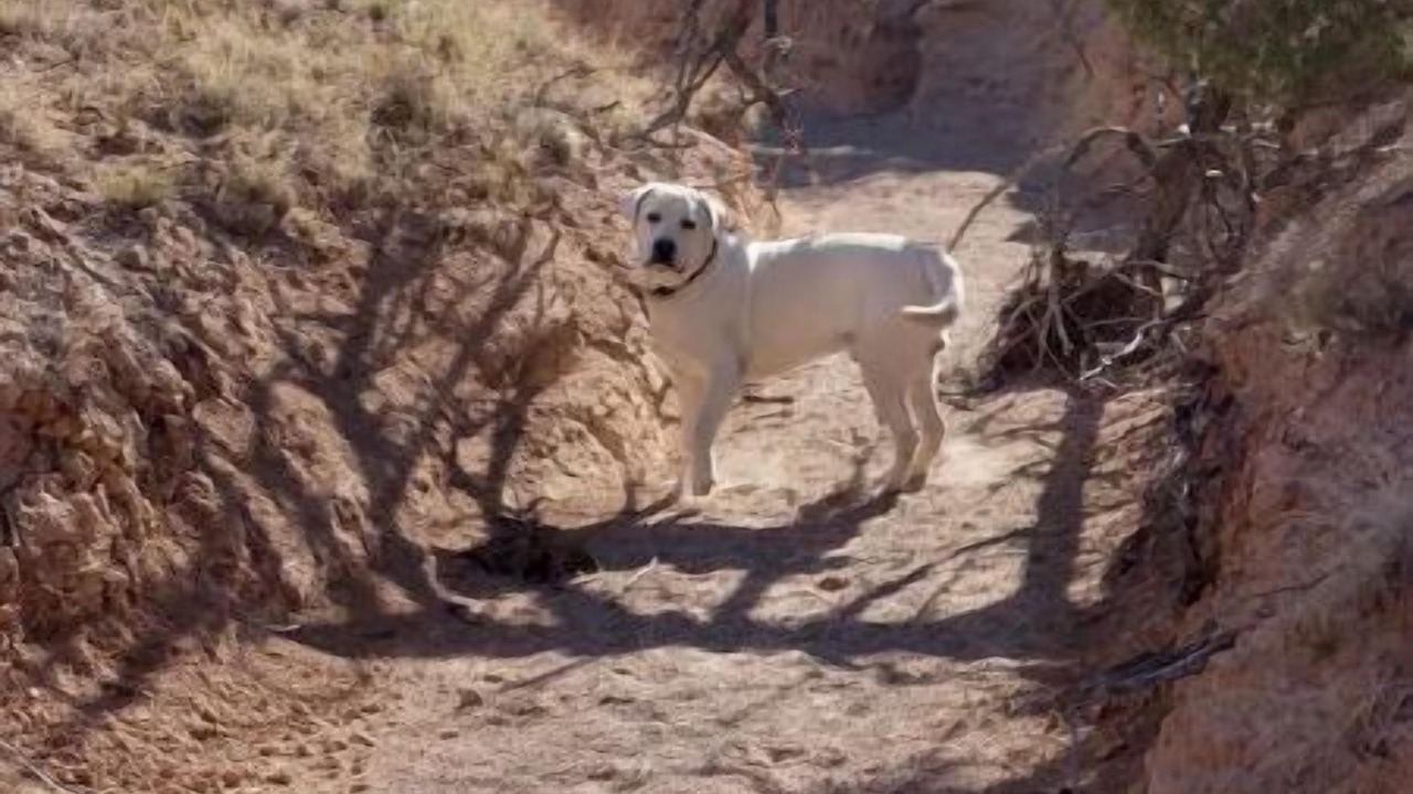 Photo of Others in Abiquiu