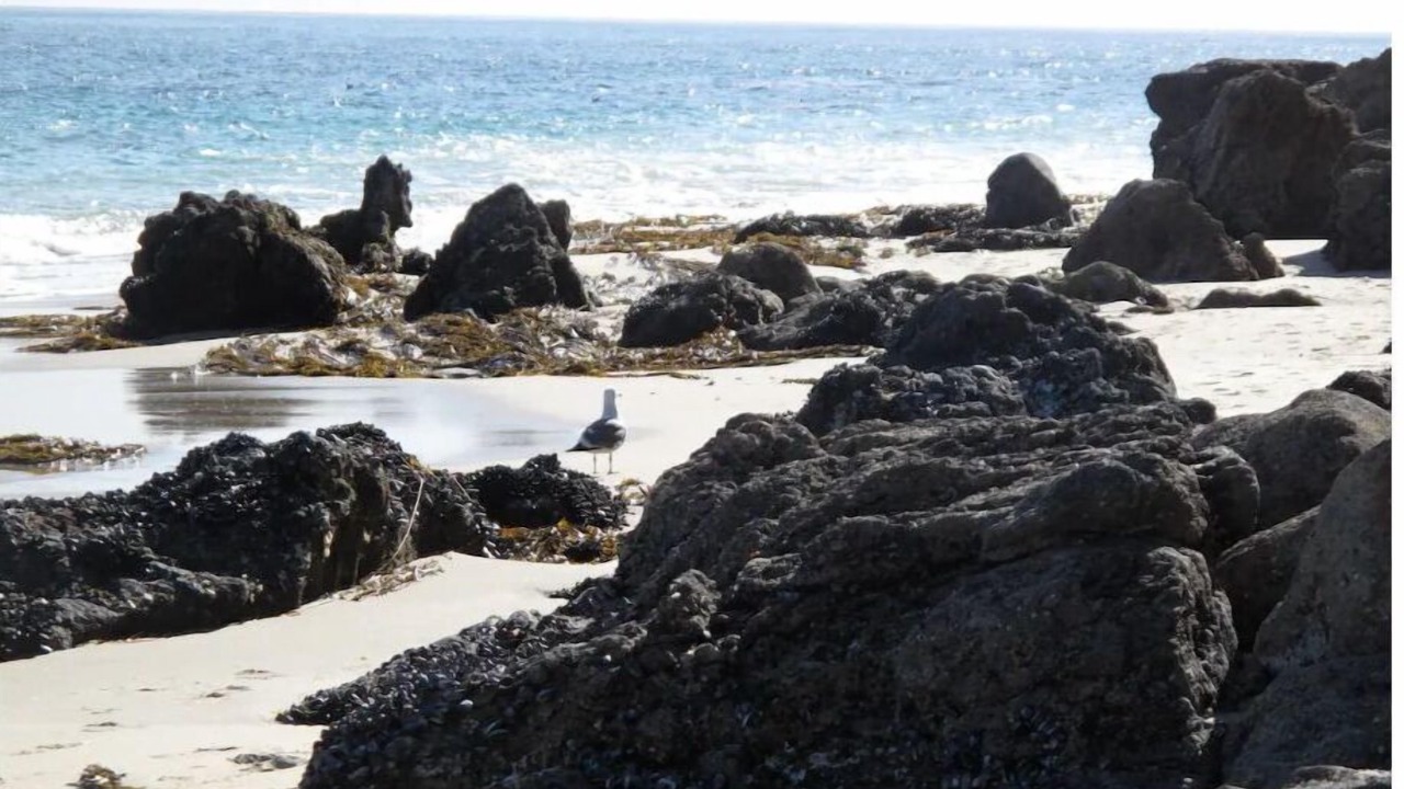 Photo of Others in Topanga