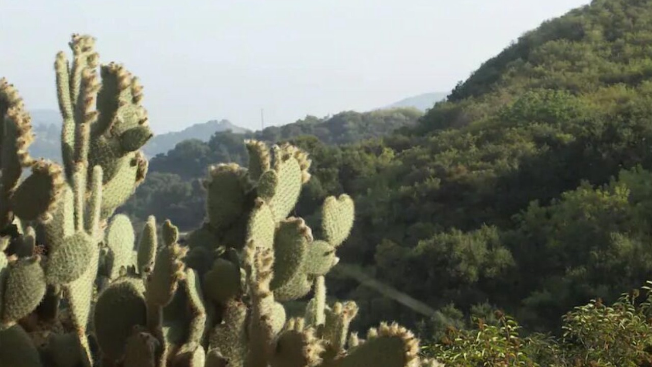 Photo of Outdoor in Topanga