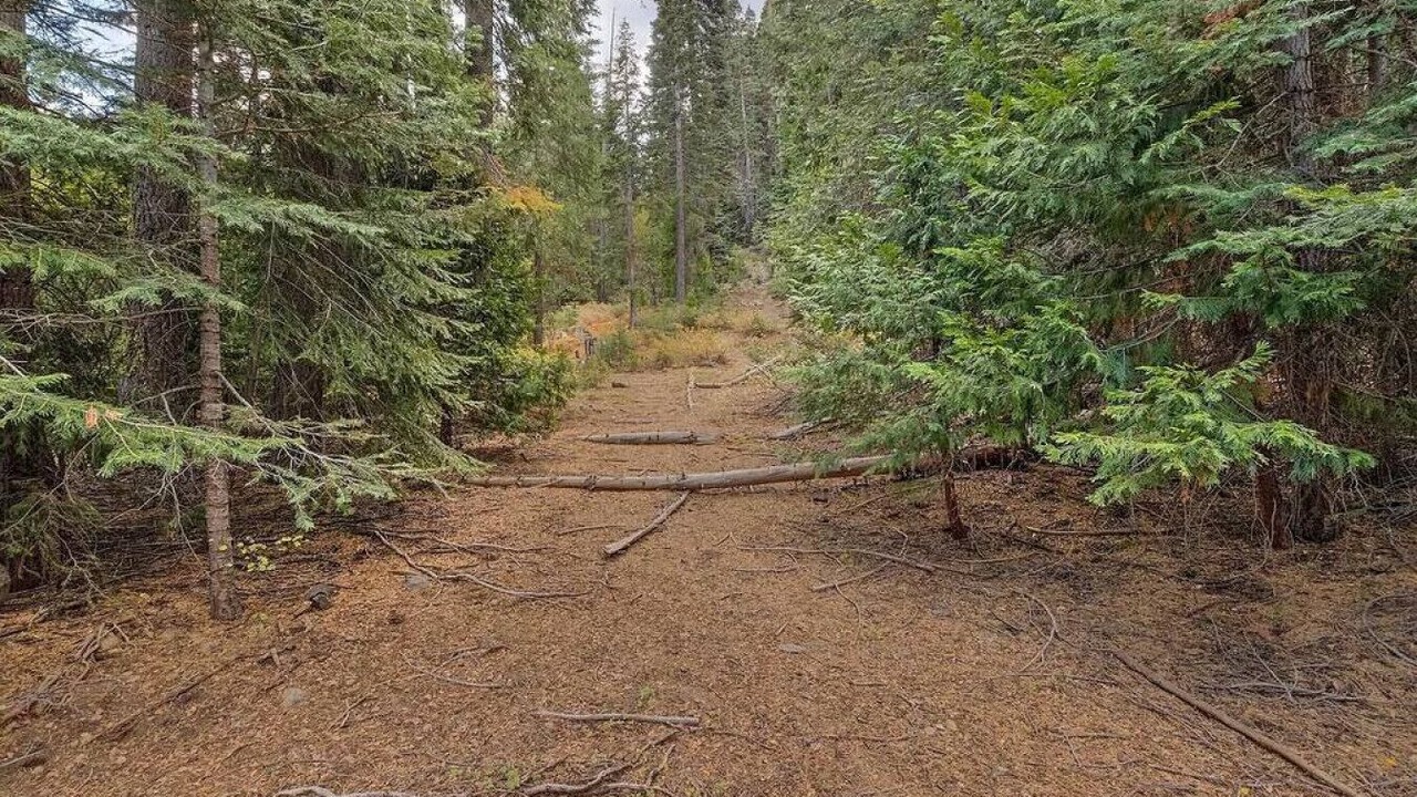 Photo of Others in Tahoma
