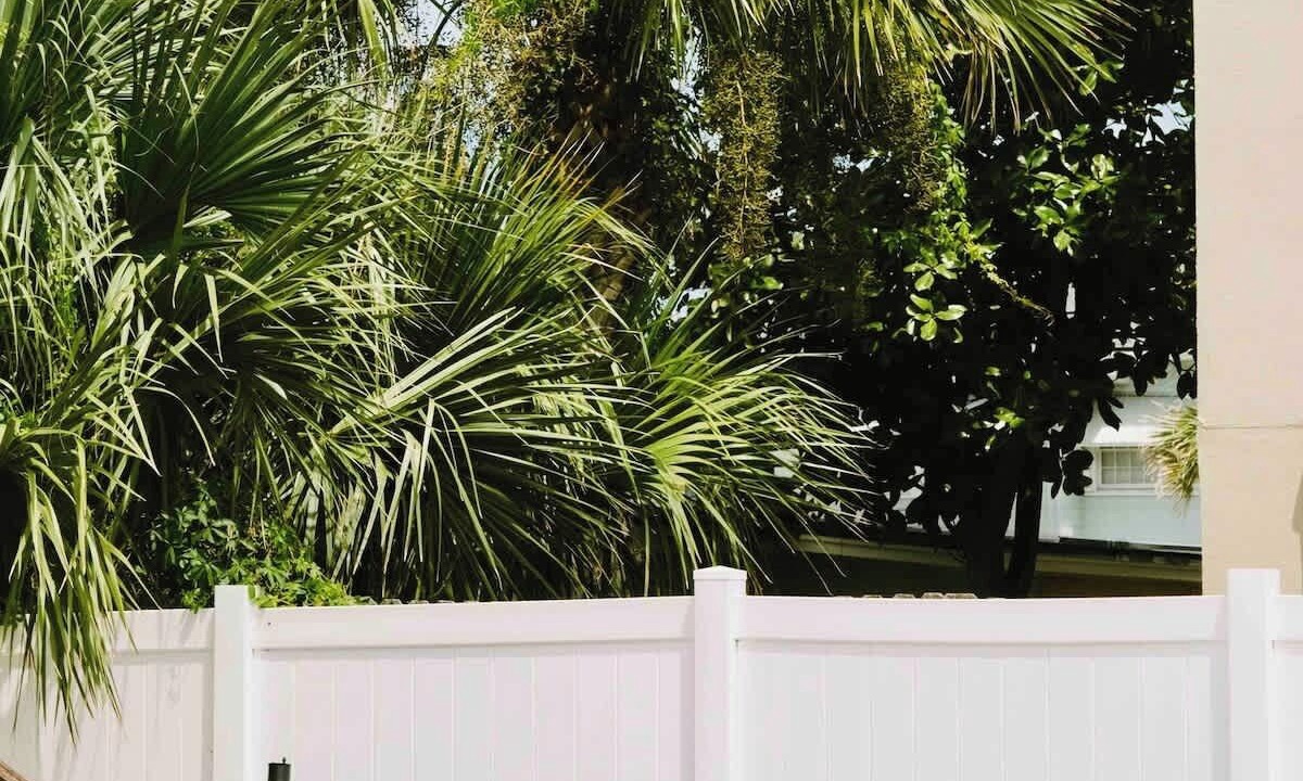 Photo of Outdoor in Neptune Beach