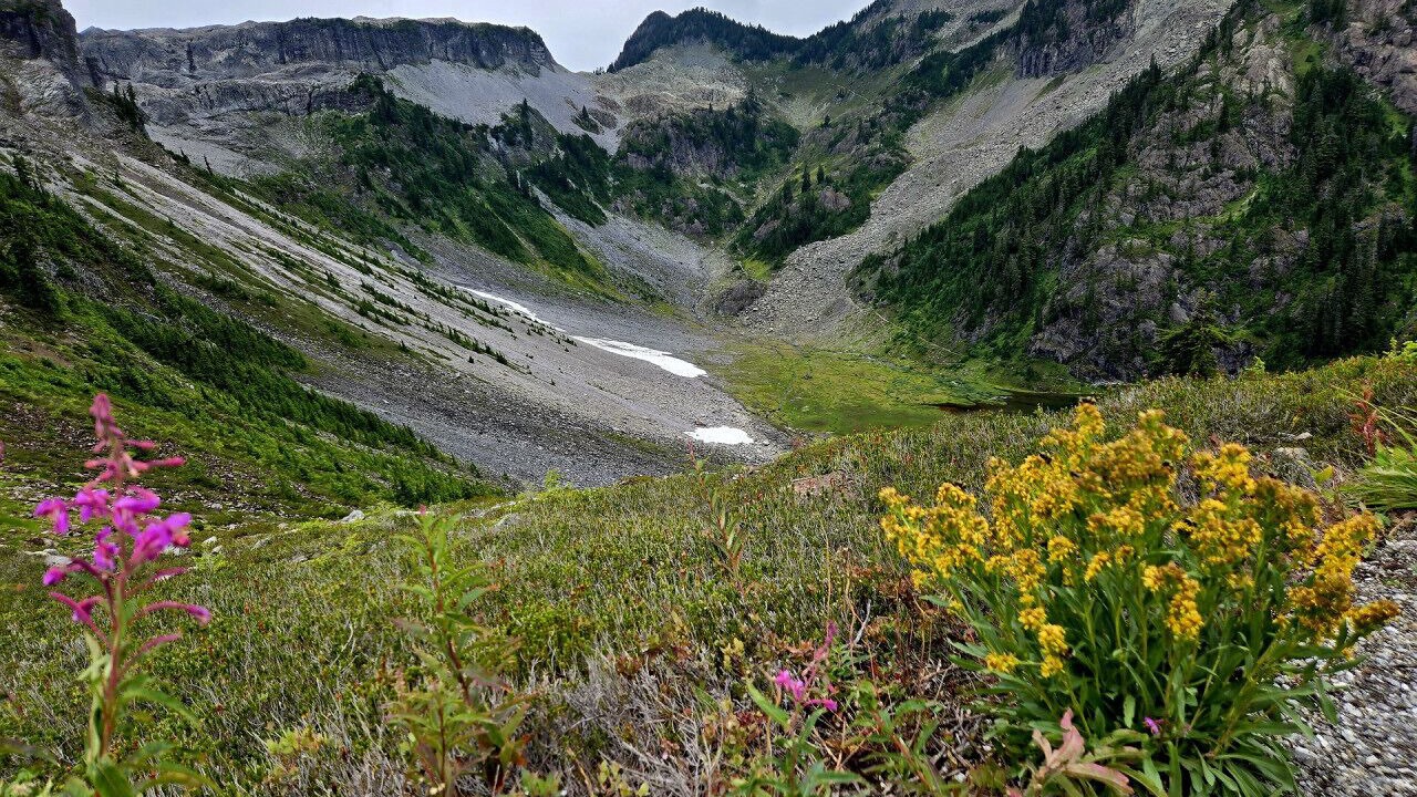 Photo of Outdoor in Warnick