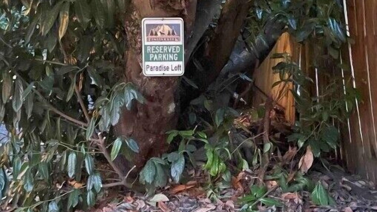 Photo of Outdoor in Issaquah