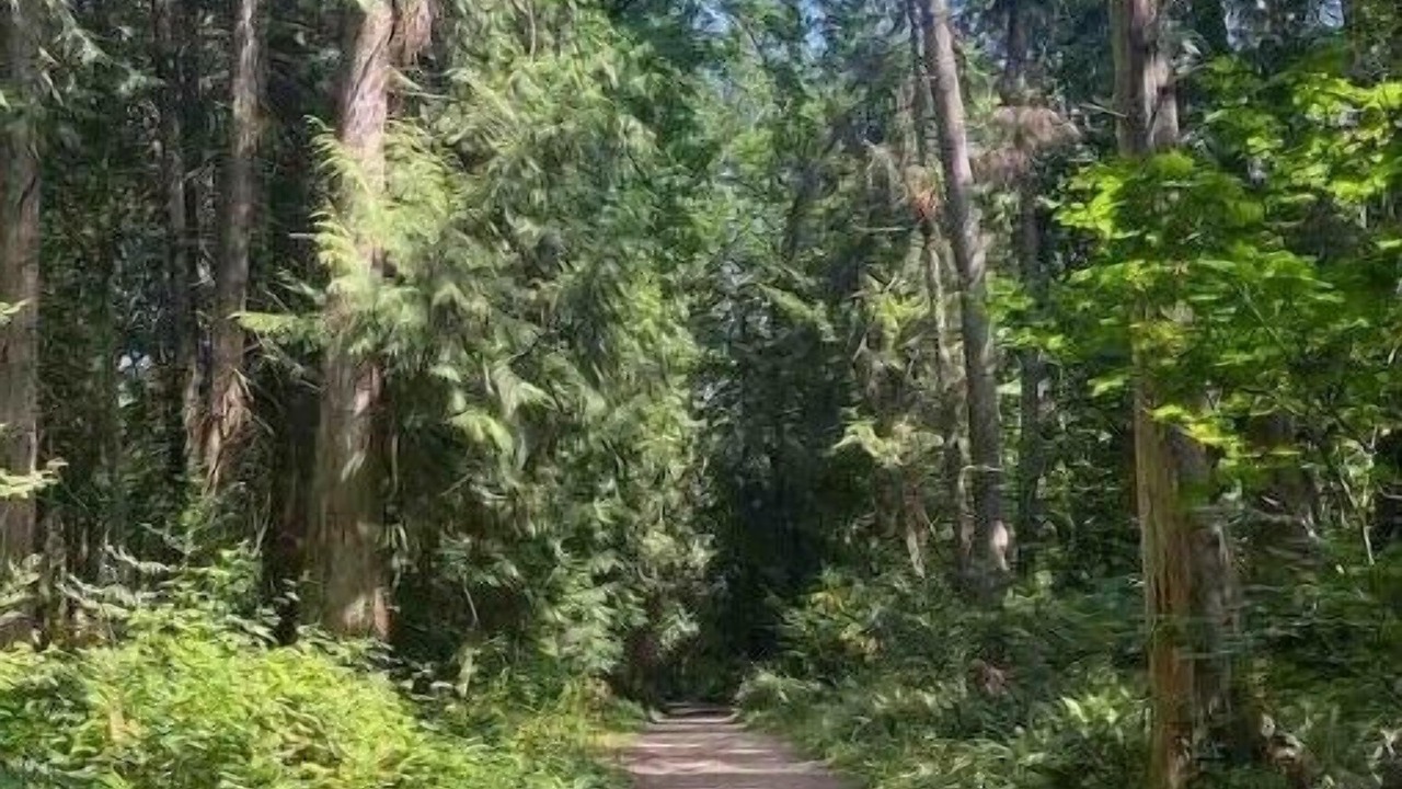 Photo of Outdoor in Issaquah