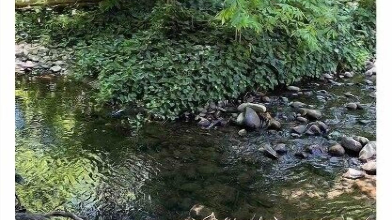 Photo of Outdoor in Issaquah