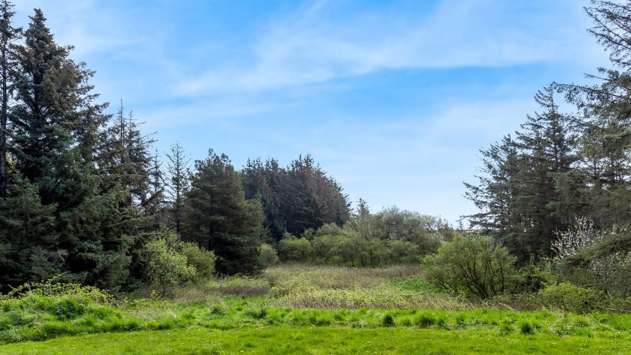Photo of Others in Skallerup Klit