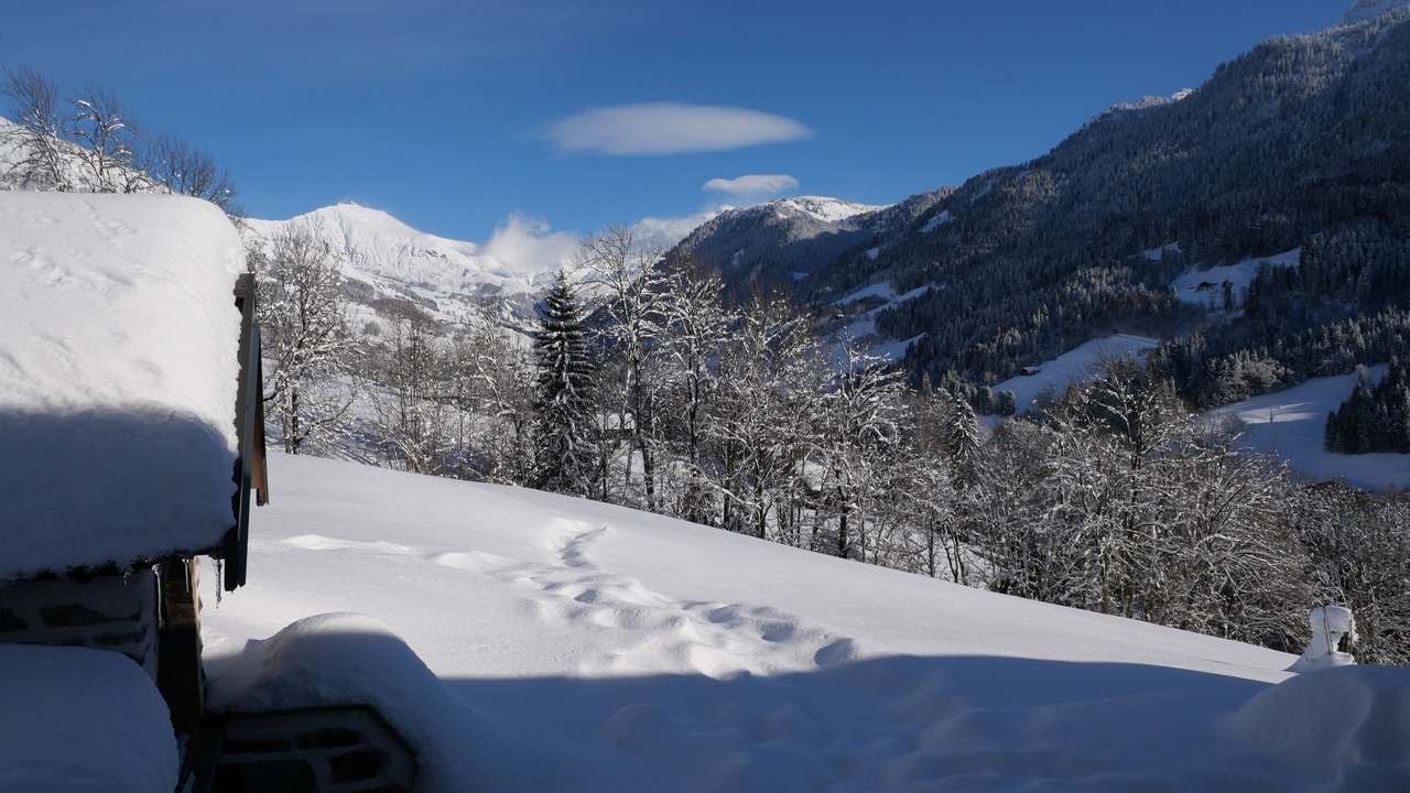 Photo of Others in Hauteluce