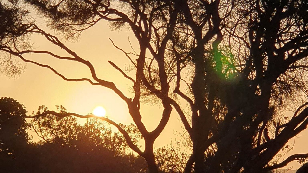 Photo of Outdoor in Omapere