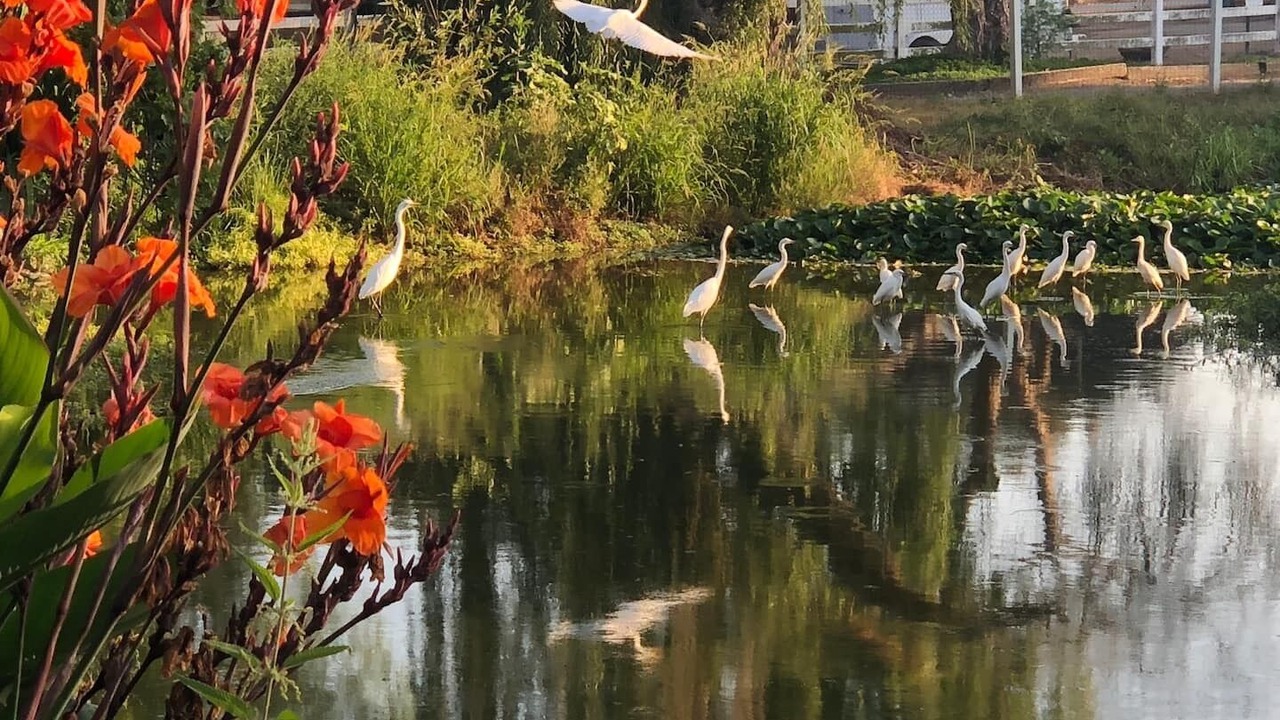 Photo of Outdoor in Fallbrook