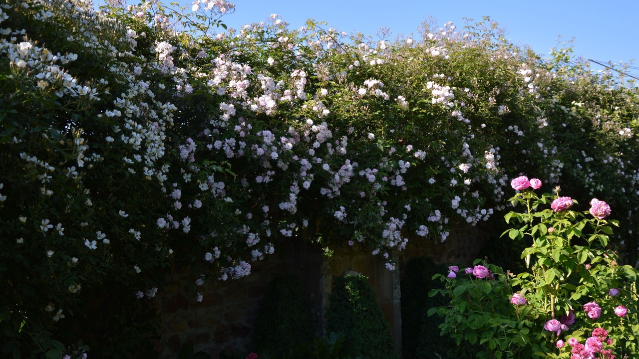 Photo of Outdoor in Bois-Sainte-Marie