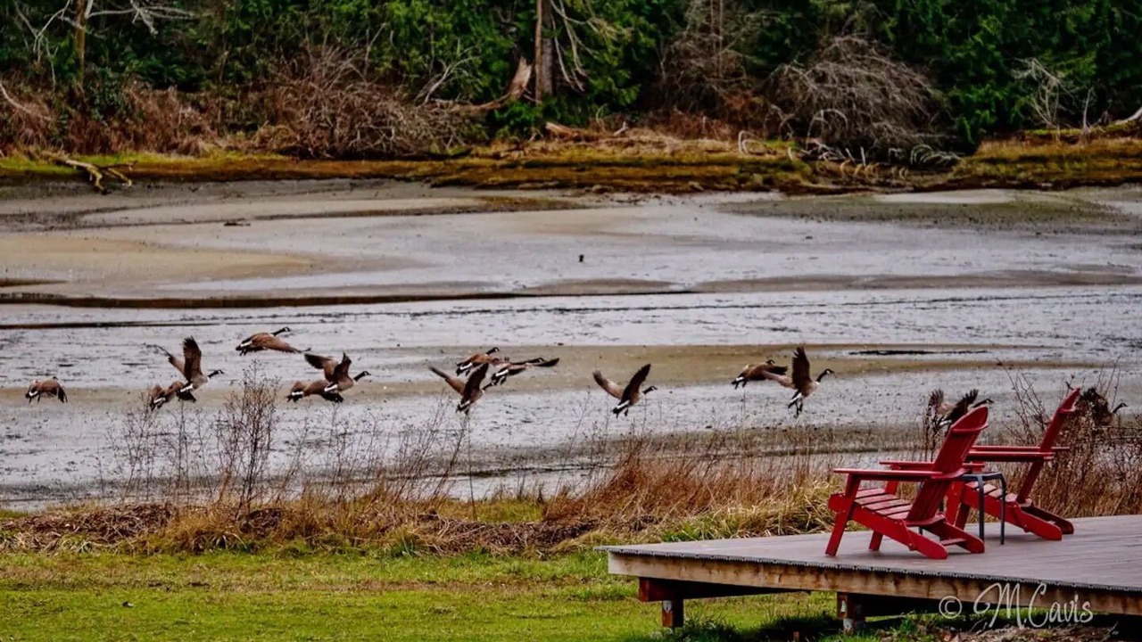 Photo of Others in Jackson Park Support Area