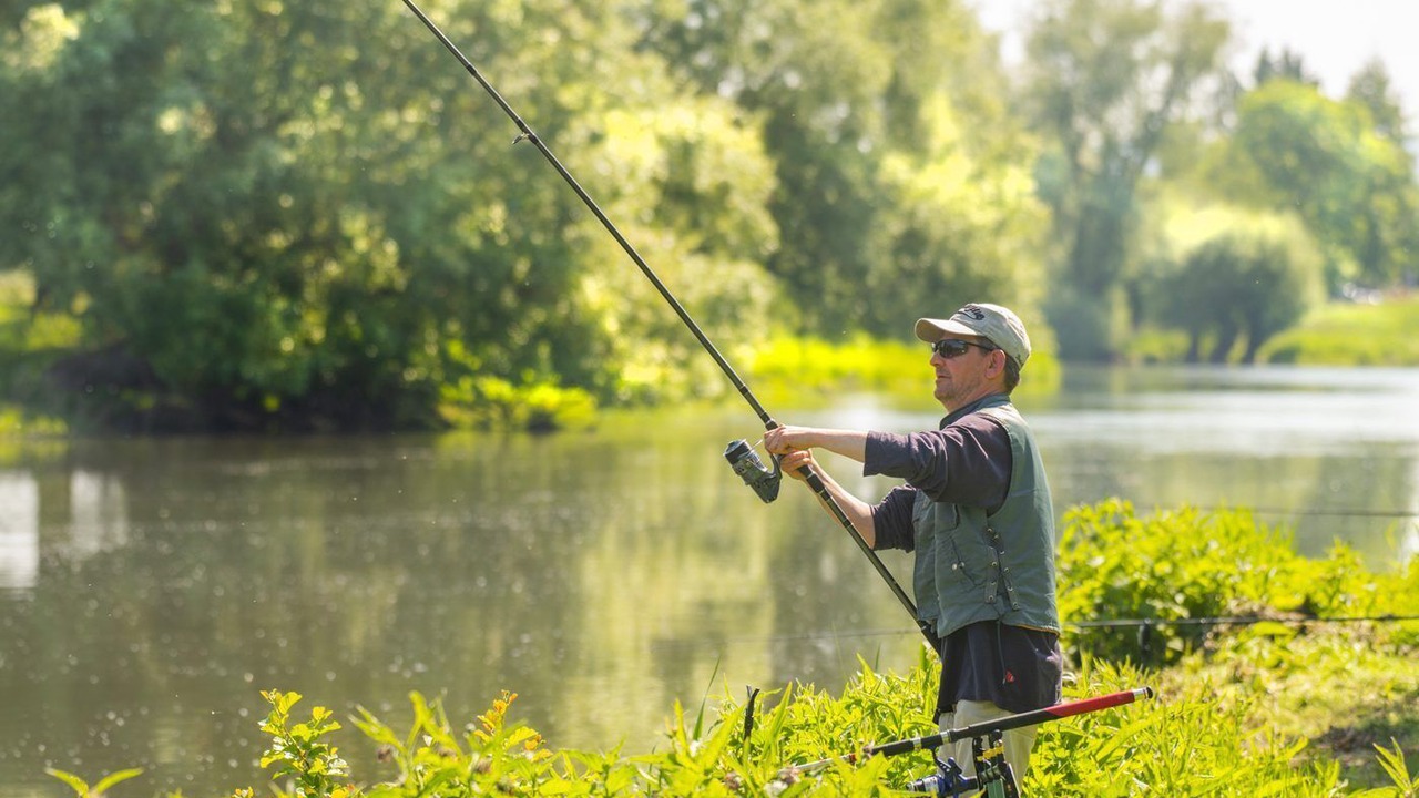 Photo of Others in Pont-sur-Yonne