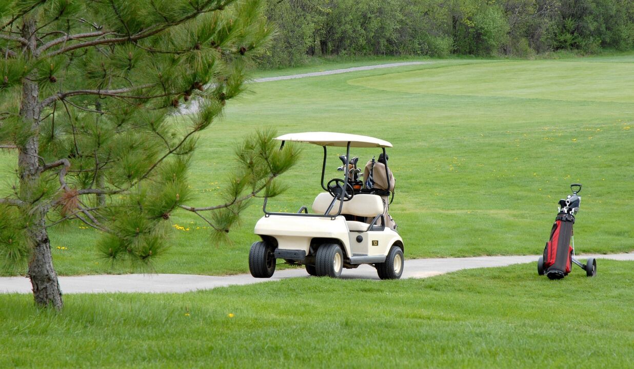 Photo of Others in Spring Green