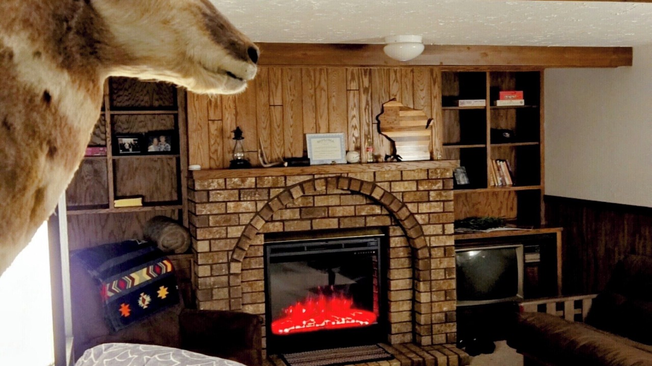 Photo of Livingroom in Spring Green