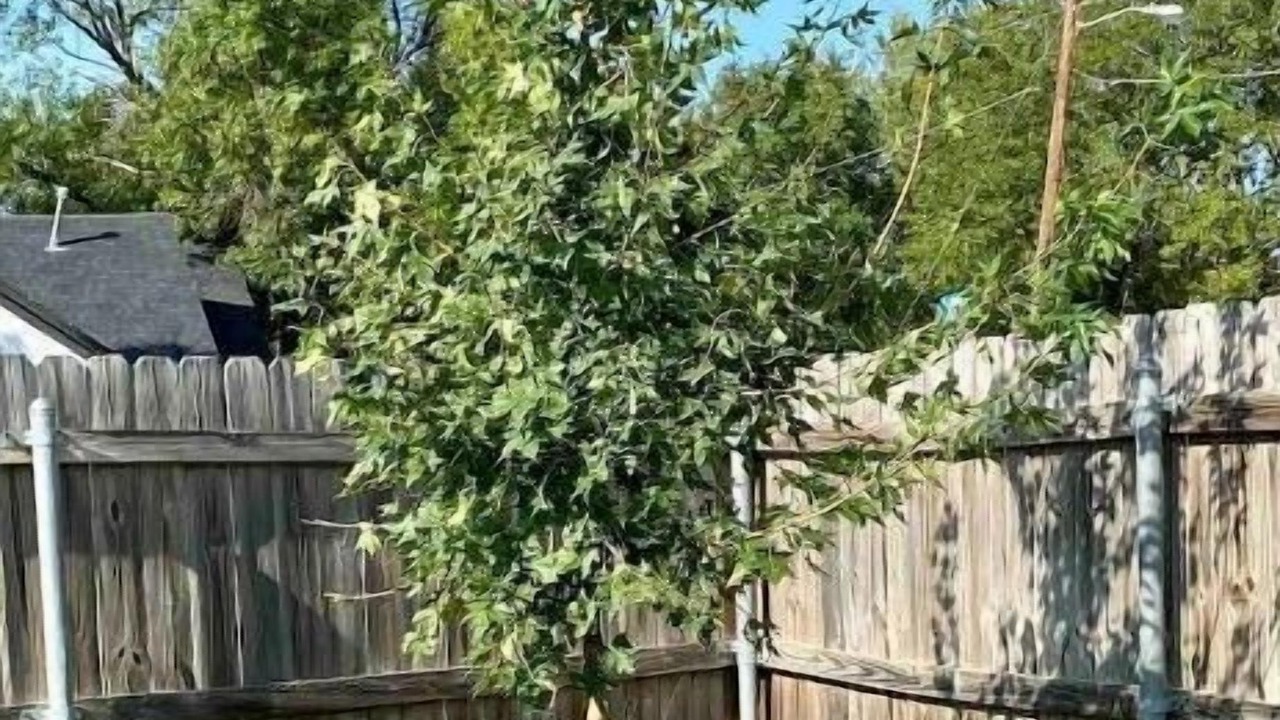 Photo of Outdoor in North Richland Hills