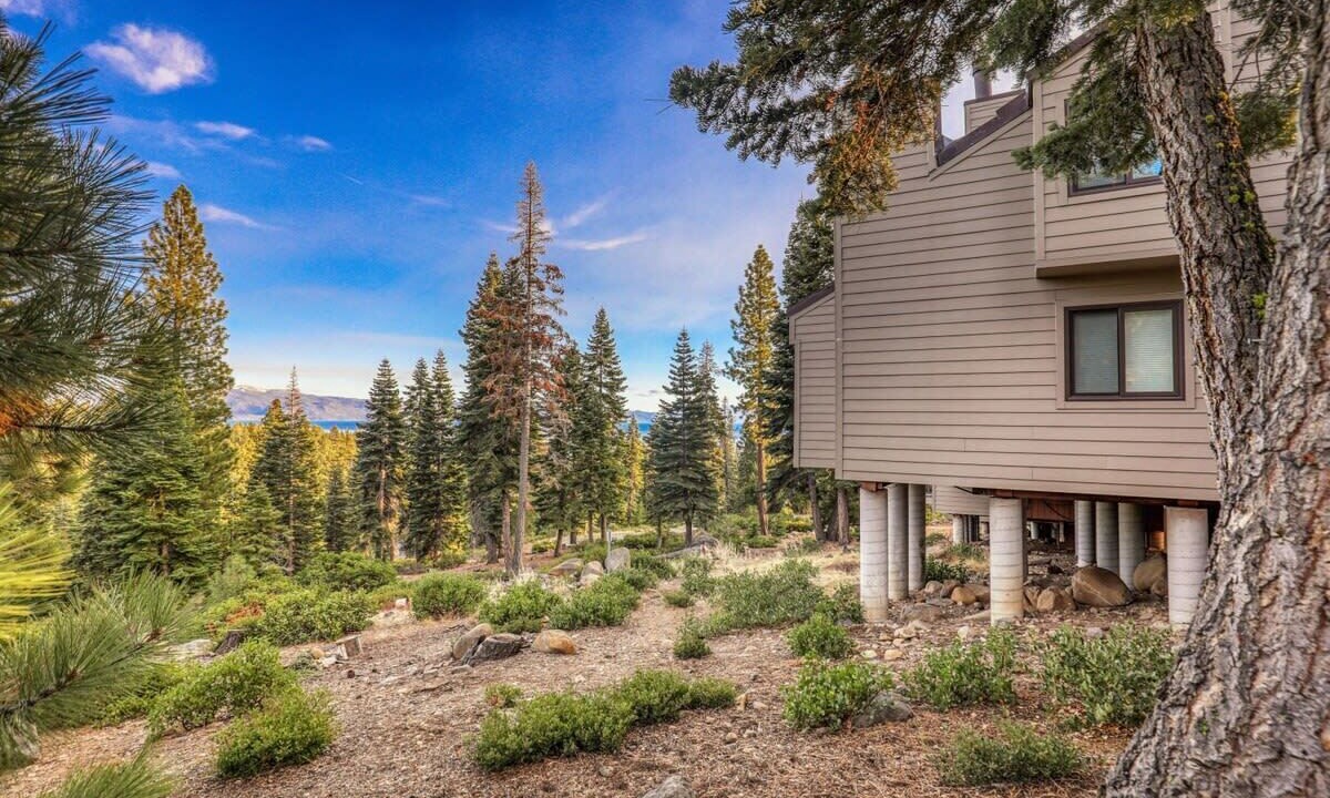 Photo of Outdoor in Carnelian Woods