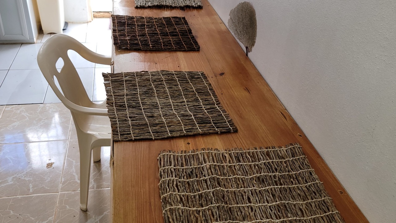 Photo of Others in Las Galeras