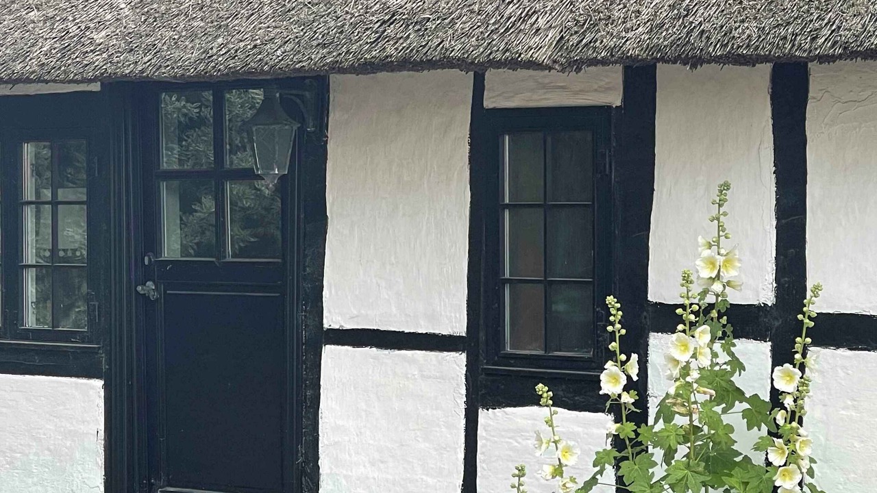 Photo of Others in Holeby