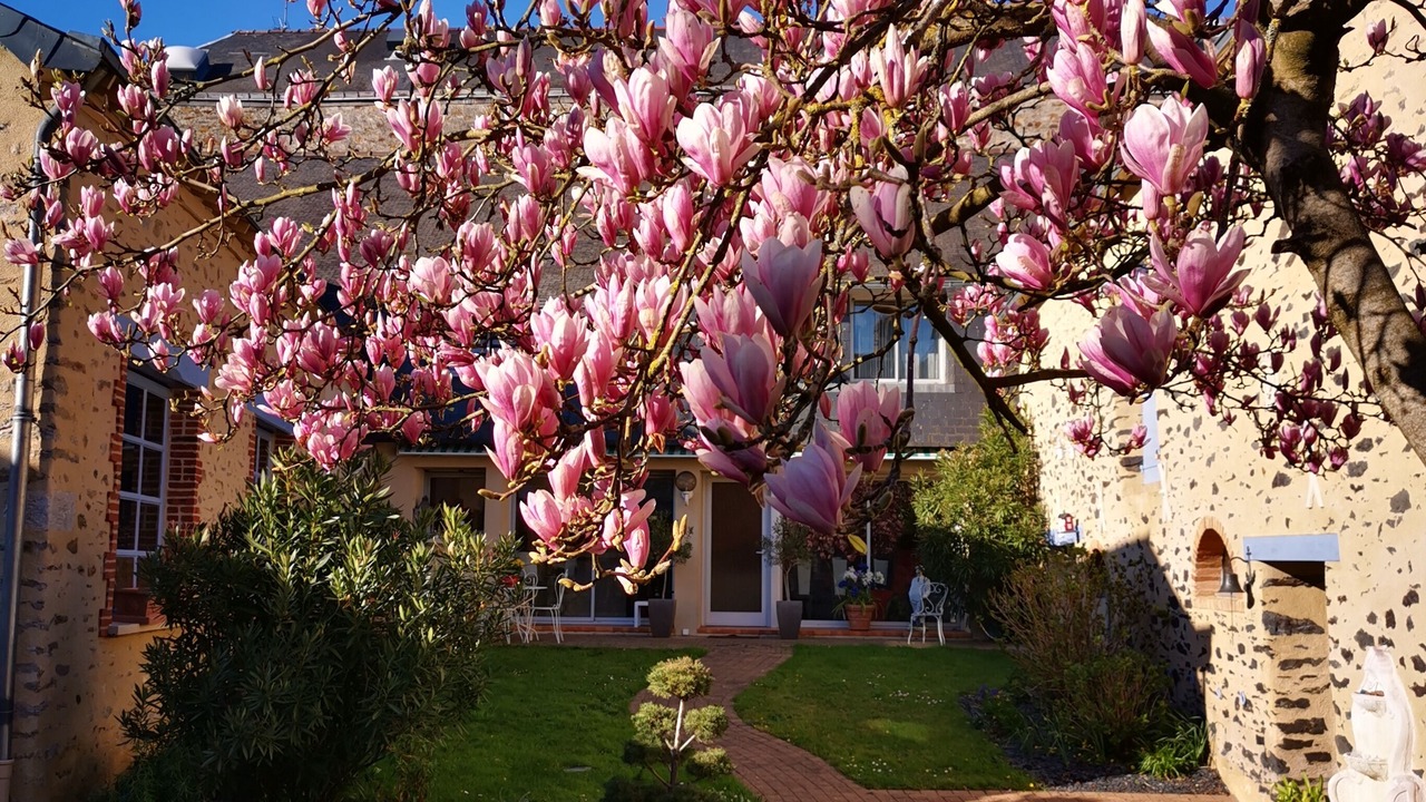 Photo of Outdoor in Centre-ville rive gauche
