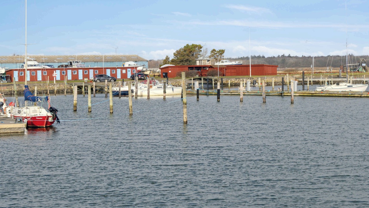 Photo of Others in Asaa