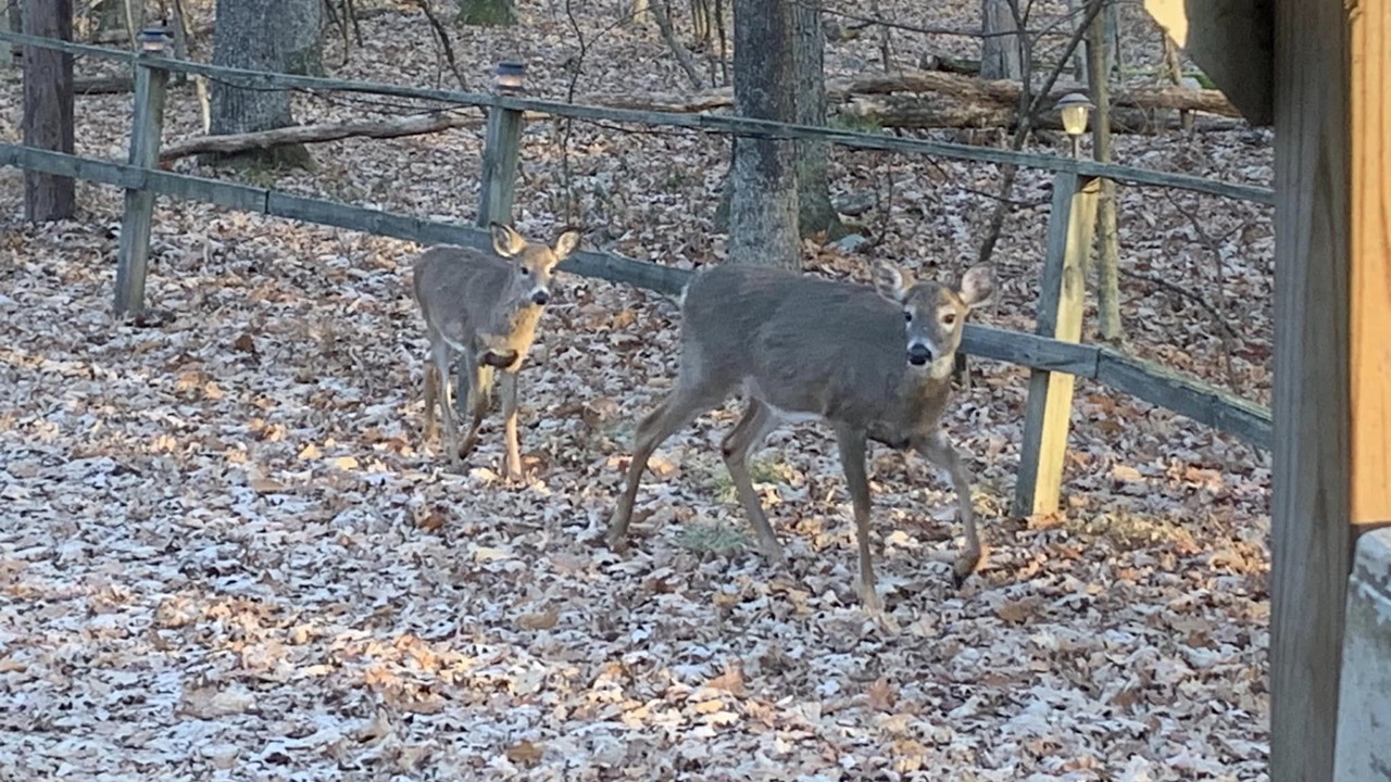 Photo of Others in Hickory Hills