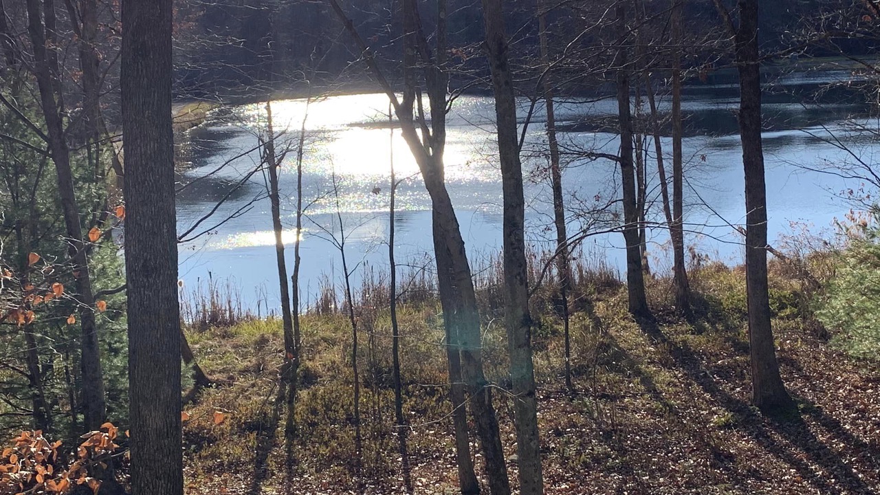 Photo of Others in Hickory Hills