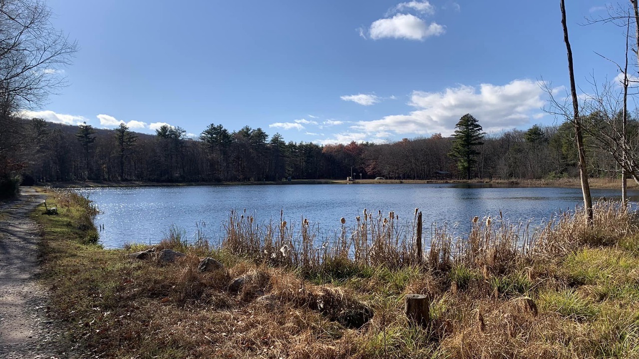 Photo of Others in Hickory Hills