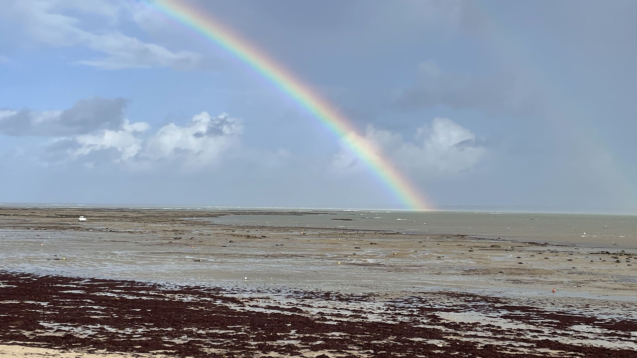 Photo of Others in Noirmoutier-en-l'Ile