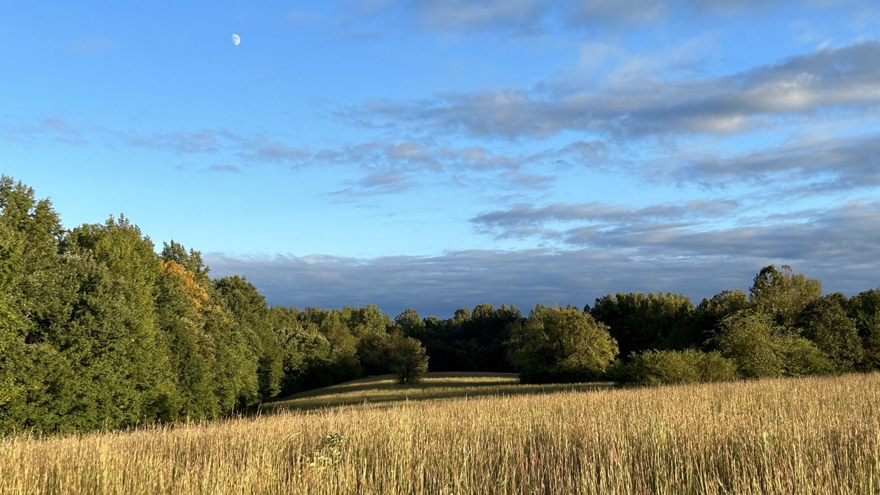 Photo of Outdoor in Cullen