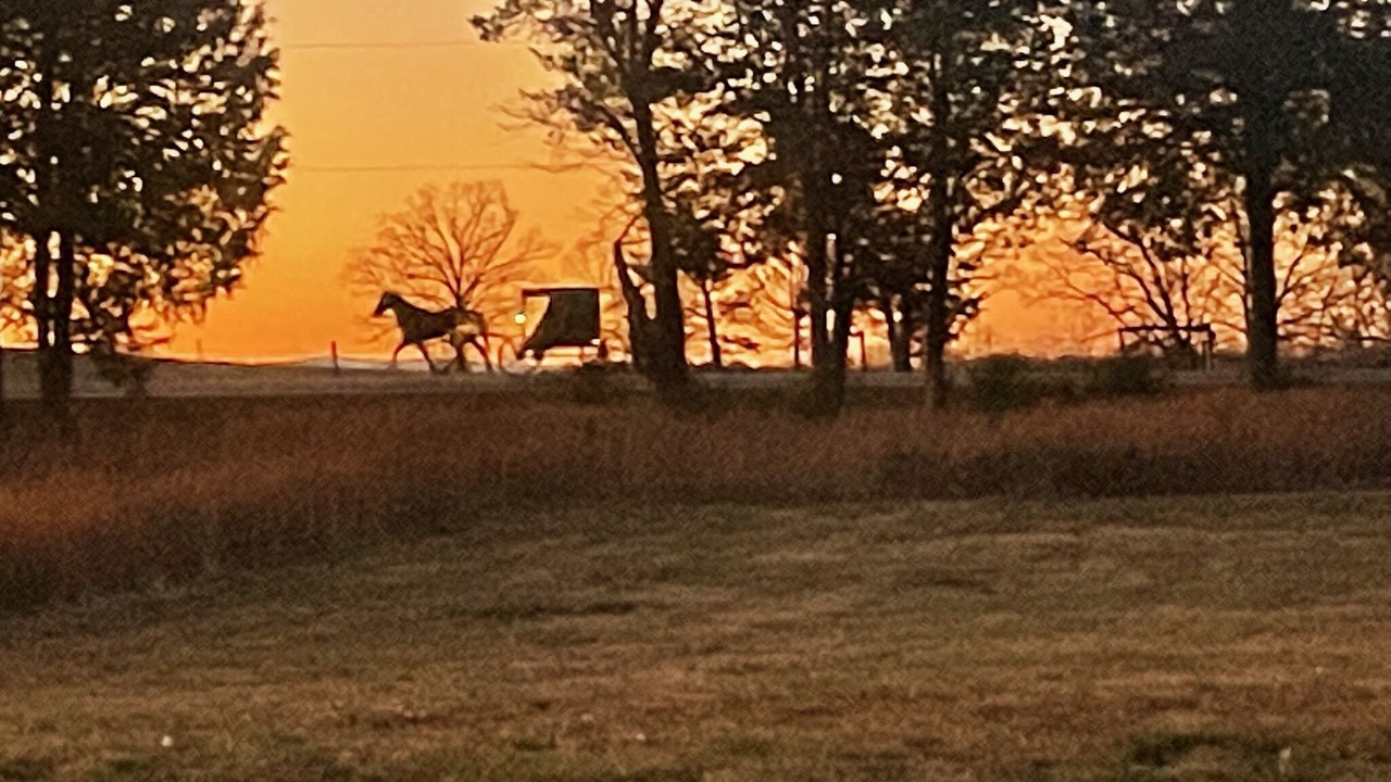 Photo of Outdoor in Cullen