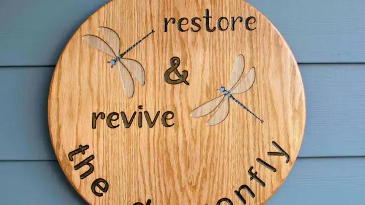 Photo of Others in Franklin